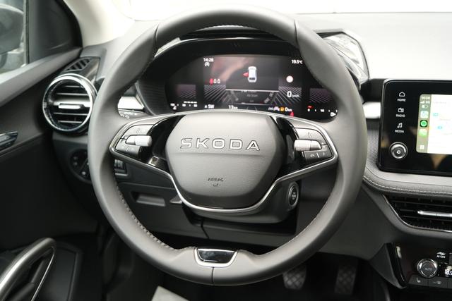 Skoda Fabia Top Selection Grau 