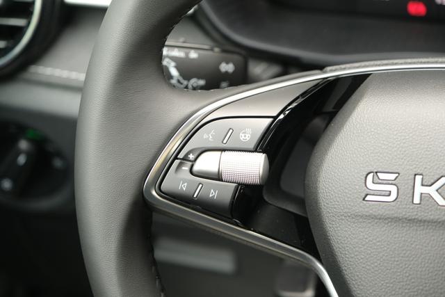 Skoda Fabia Top Selection Grau 