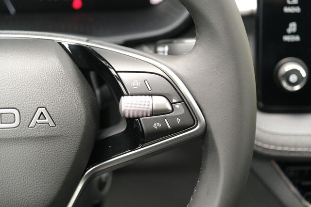 Skoda Fabia Top Selection Grau 