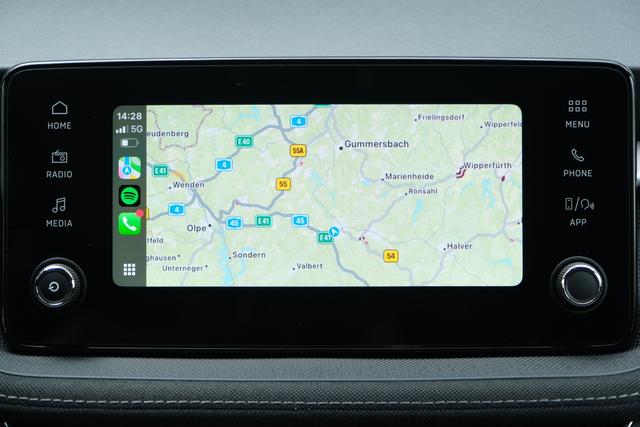 Skoda Fabia Top Selection Grau 