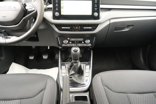 Skoda Fabia Top Selection Grau 