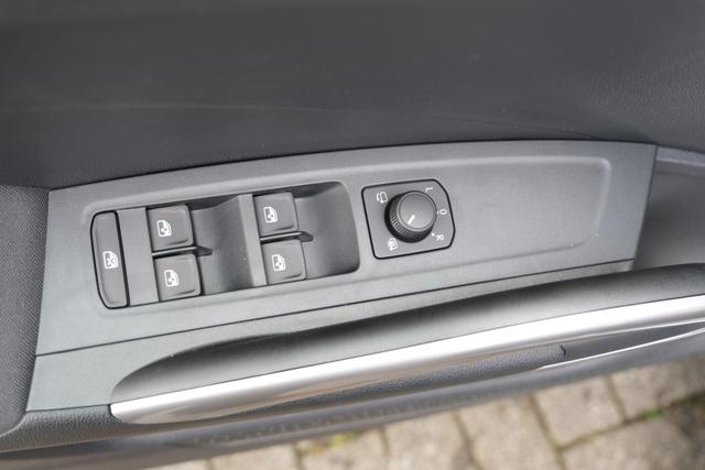 Skoda Fabia Top Selection Grau 