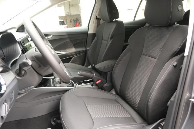 Skoda Fabia Top Selection Grau 