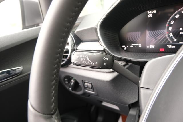 Skoda Fabia Top Selection Grau 