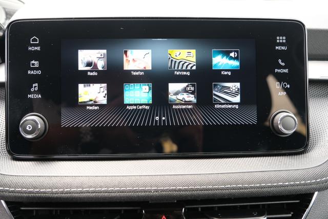 Skoda Fabia Top Selection Grau 