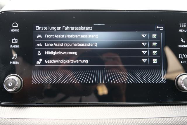 Skoda Fabia Top Selection Grau 