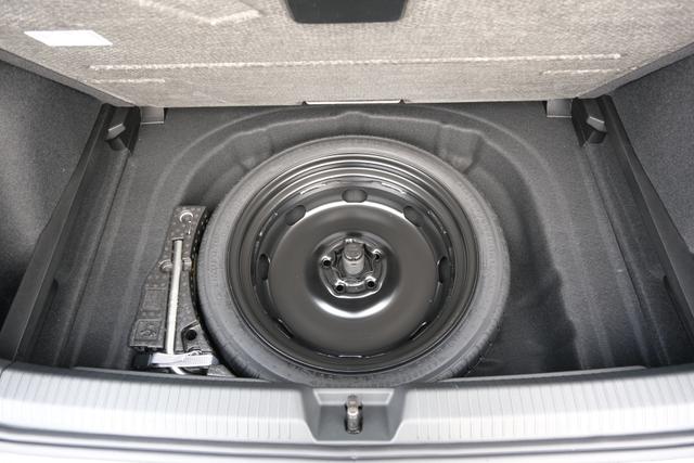 VW Golf 8 R-Line Delfin Grau 
