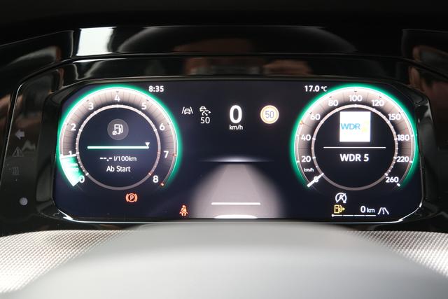 VW Golf 8 R-Line Delfin Grau 