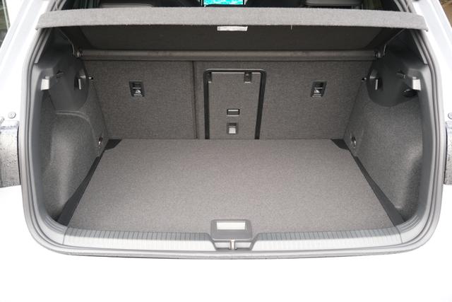VW Golf 8 R-Line Mondstein Grau 