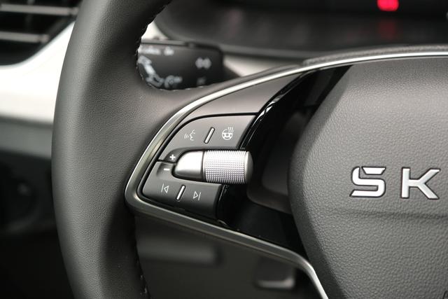 Skoda Kamiq Top Selection Graphite Grau Metallic 