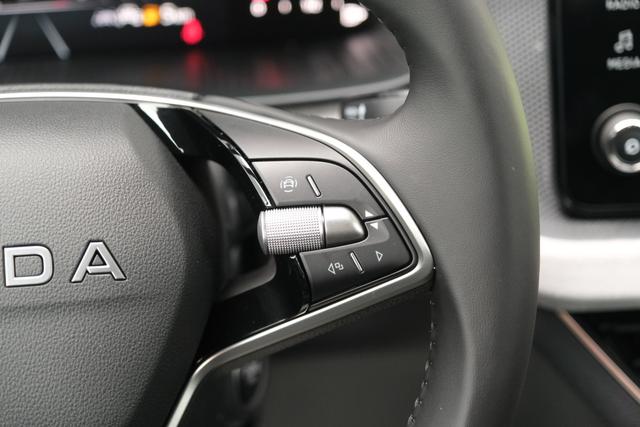 Skoda Kamiq Top Selection Graphite Grau Metallic 