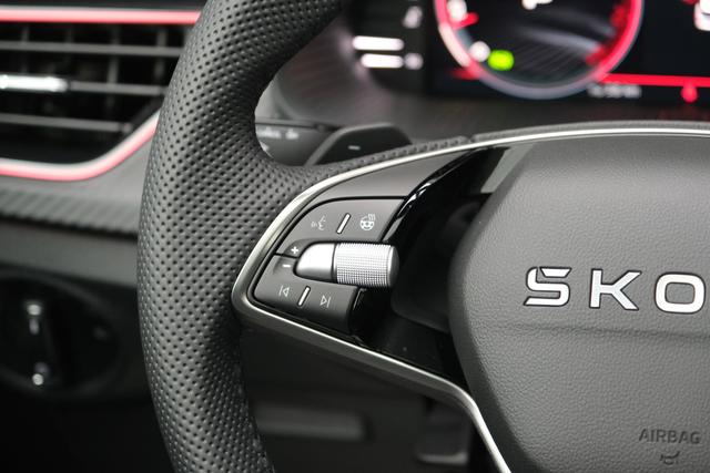 Skoda Kamiq Monte Carlo Graphite Grau 