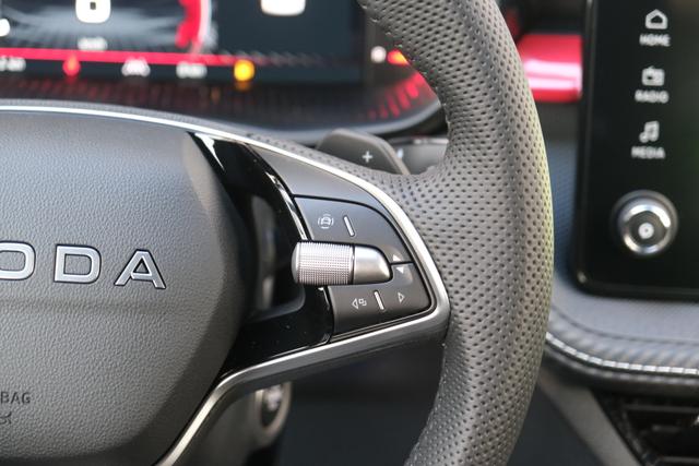 Skoda Fabia Monte Carlo DSG Graphite Grau