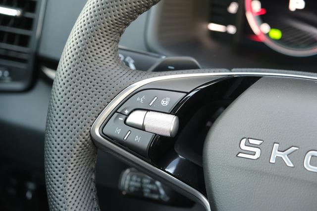 Skoda Karoq Sportline Stahl Grau 