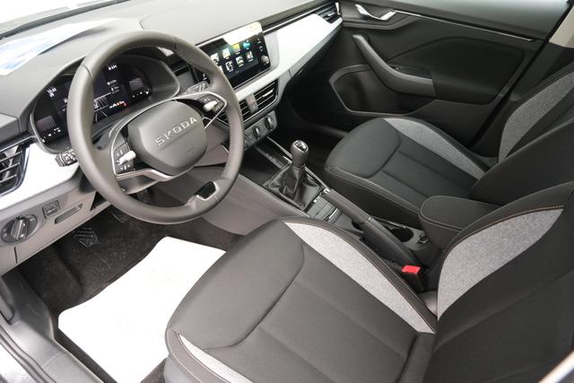 Skoda Scala Graphite Grau 