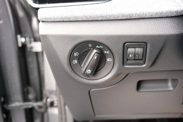 Skoda Scala Graphite Grau 