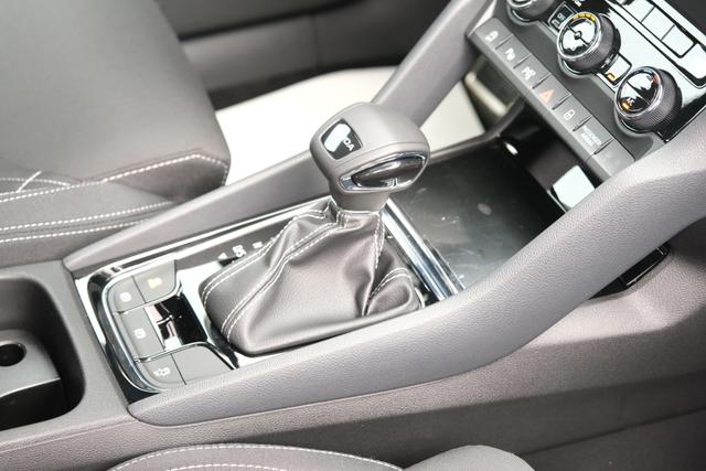 Skoda Karoq Sportline Graphite Grau 