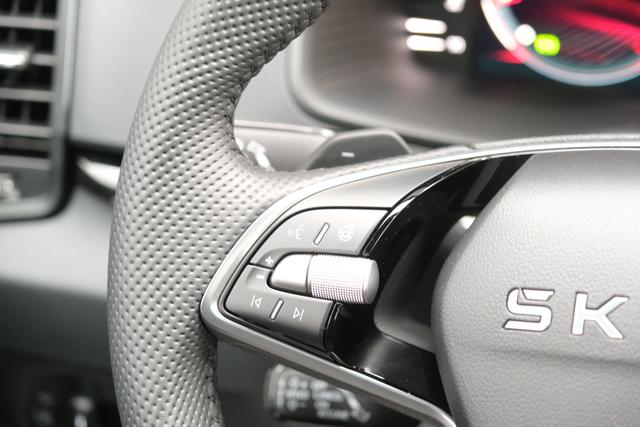 Skoda Karoq Sportline Graphite Grau 