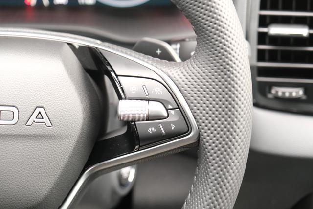 Skoda Karoq Sportline Graphite Grau 