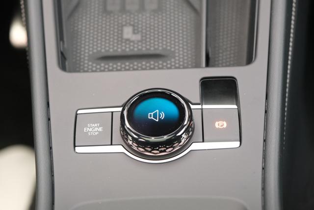 VW T-Roc eTSI R-Line 