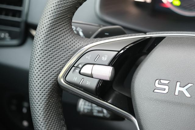 Skoda Karoq Sportline Graphite Grau 