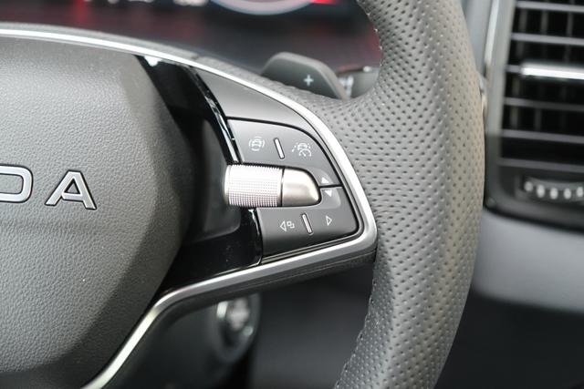 Skoda Karoq Sportline Graphite Grau 