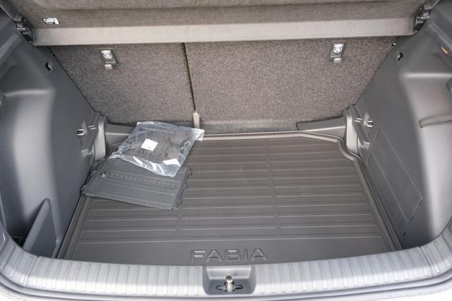 Skoda Fabia Selection 1.0 TSI DSG LED Kamera App-Navi PDC Winterpaket 