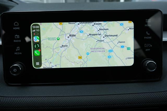 Skoda Fabia Selection Grau 