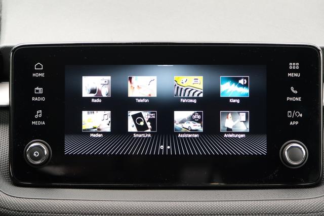 Skoda Fabia Selection Grau 