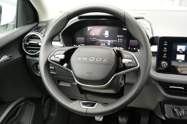 Skoda Fabia Selection Grau 