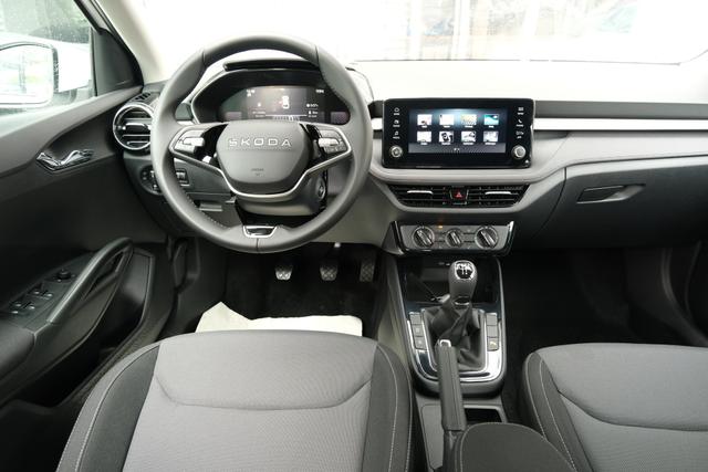 Skoda Fabia Selection Grau 