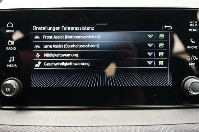 Skoda Fabia Selection Smokey Diamond Silber Metallic 