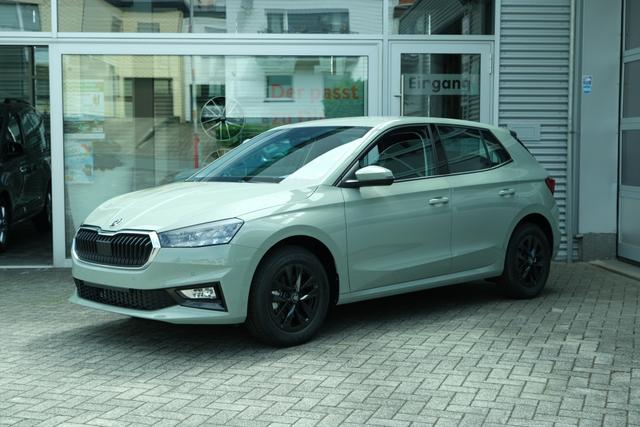 Skoda Fabia - Selection 1.0 TSI DSG LED Kamera App-Navi PDC Winterpaket