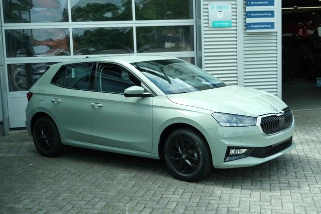 Skoda Fabia Selection 1.0 TSI DSG LED Kamera App-Navi PDC Winterpaket 