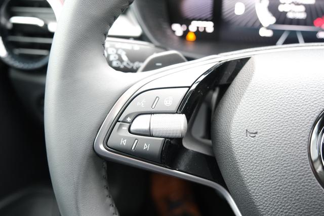 Skoda Fabia Top Selection Grau DSG 