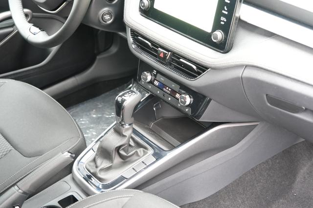 Skoda Fabia Top Selection Grau DSG 