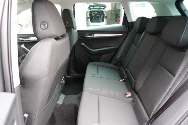 Skoda Karoq TDI DSG Graphite Grau 