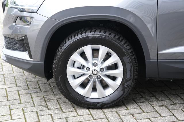 Skoda Karoq TDI DSG Graphite Grau 