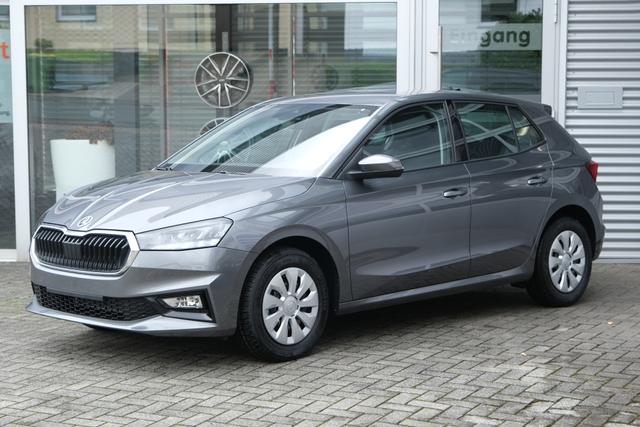 Skoda Fabia Selection Grau 