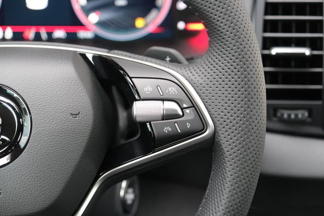 Skoda Karoq Sportline Stahl Grau 