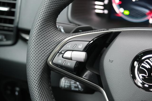 Skoda Karoq Sportline Stahl Grau 