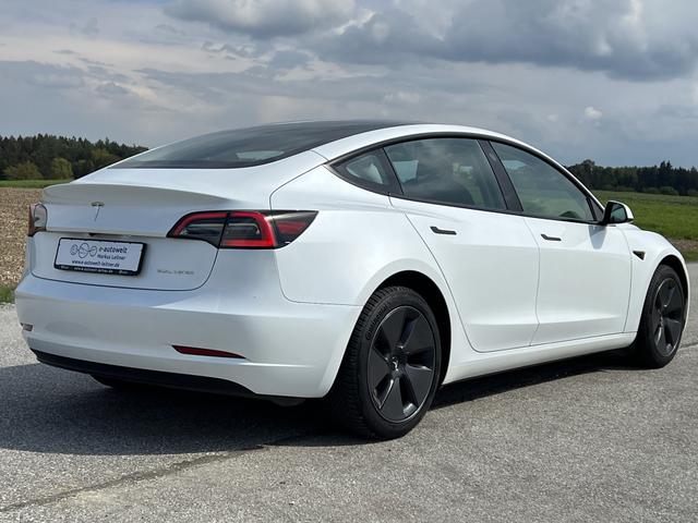 Tesla Model 3 Long Range Dual Motor Ryzen Matrix Mwst. 