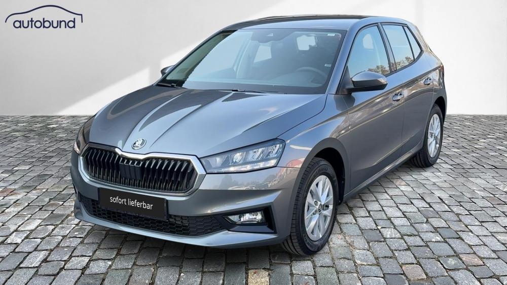Skoda Fabia     130 JAHRE IV 1,0 TSI LED Link NBA PDC RFK SHA Shz