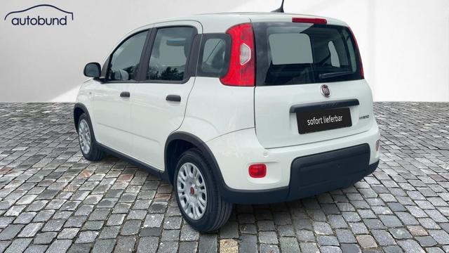 Fiat Panda Base 1,0 Hybrid (MHEV) DAB PDC 
