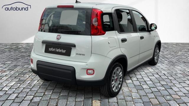 Fiat Panda Base 1,0 Hybrid (MHEV) DAB PDC 