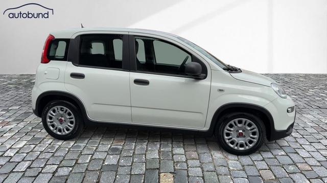 Fiat Panda Base 1,0 Hybrid (MHEV) DAB PDC 