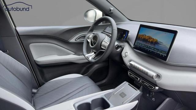 BYD Dolphin Surf Comfort Alu LED Link NAV NBA PDC RFK SHA Shz 