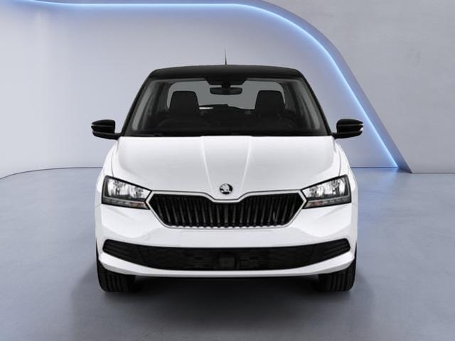 Skoda Fabia 1.0l MPI | Sitzheizung AHK 