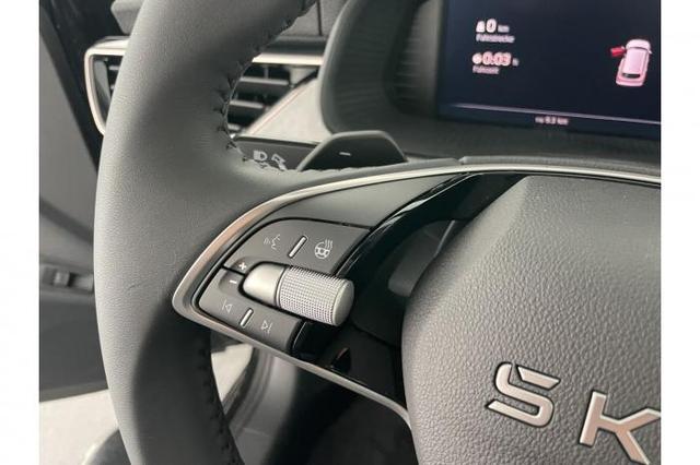 Skoda Kamiq (Top Selection) 1.0 TSI 85kW (116 PS) 7-Gang DSG 