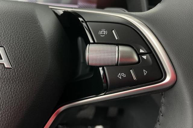 Skoda Kamiq Selection (Selection) 1.0 TSI 85kW (116 PS) 7-Gang-DSG 